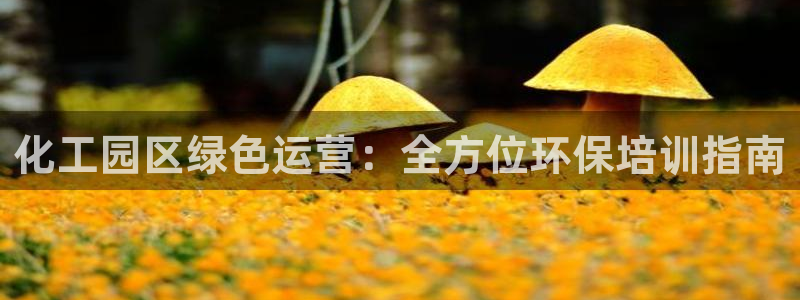 亿万先生官方网站客户端下载安装手机版：化工园区绿色运营：全方位环保培训指南