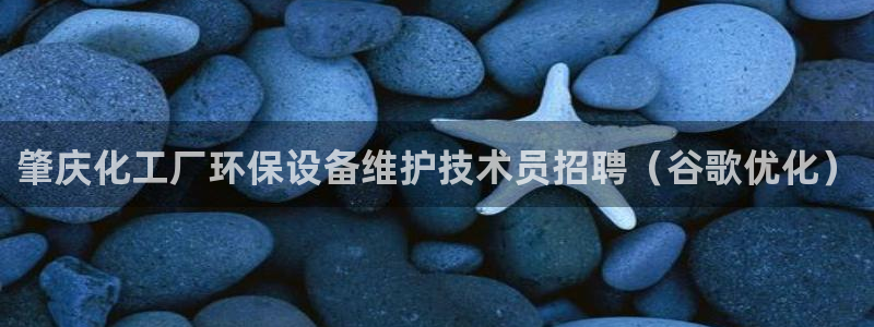 mr001亿万先生：肇庆化工厂环保设备维护技术员招聘（谷歌优化）
