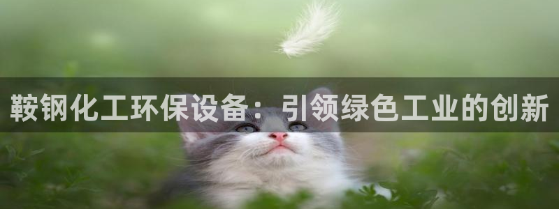 亿万网络：鞍钢化工环保设备：引领绿色工业的创新