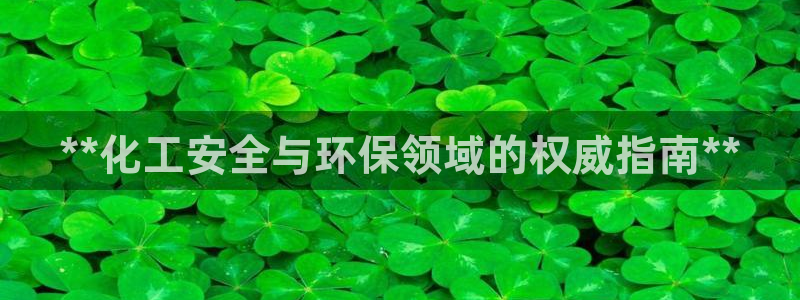亿万先生情侣车有什么用：**化工安全与环保领域的权威指南**