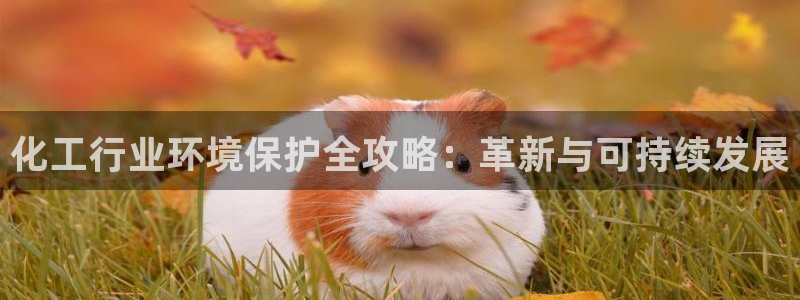 亿万先生游戏平台网址：化工行业环境保护全攻略：革新与可持续发展