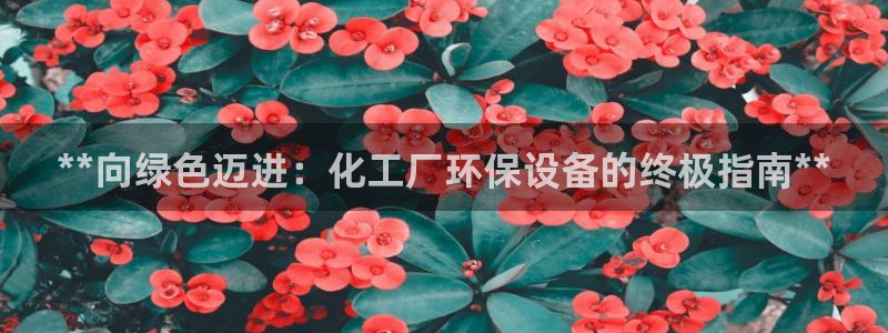 亿万先生MR - 亿万先生mr008cc：**向绿色迈进：化工厂环保设备的终极指南**