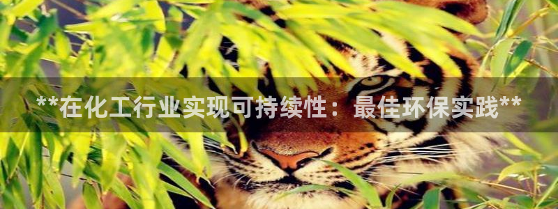 亿万客户端：**在化工行业实现可持续性：最佳环保实践**