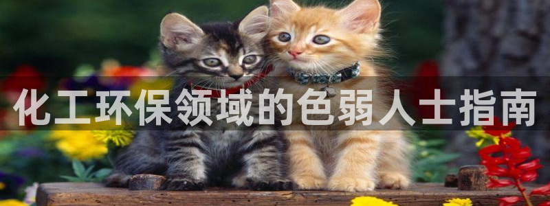 亿万第一集：化工环保领域的色弱人士指南