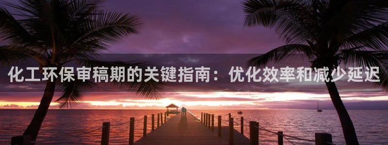 电视剧亿万：化工环保审稿期的关键指南：优化效率和减少延迟