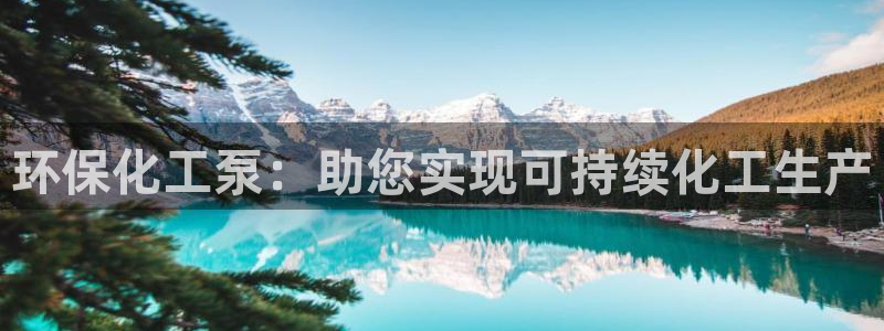 亿万先生游戏平台网址：环保化工泵：助您实现可持续化工生产