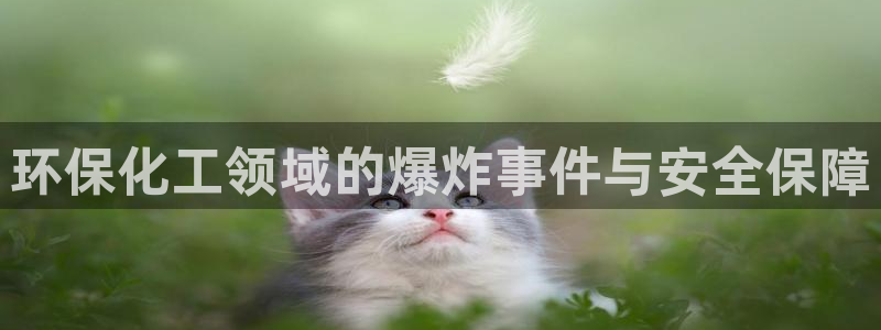 亿万个世界 科幻简介：环保化工领域的爆炸事件与安全保障