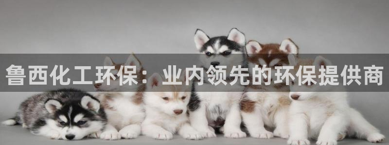 官方网站下载亿万人生：鲁西化工环保：业内领先的环保提供商