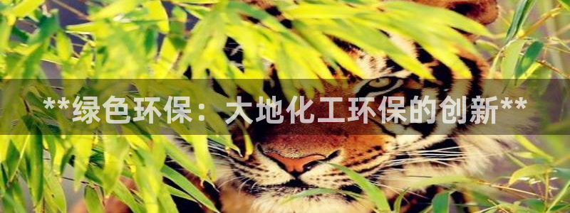 亿万先生充电桩：**绿色环保：大地化工环保的创新**