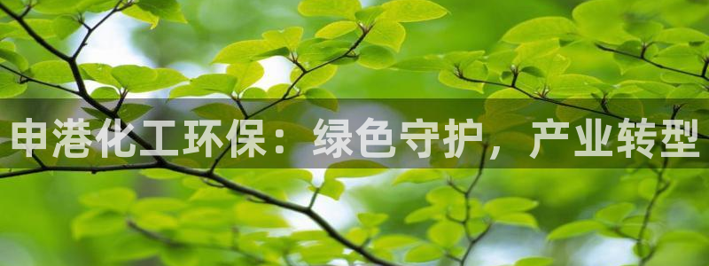 mr亿万先生：申港化工环保：绿色守护，产业转型