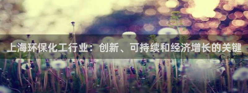 亿万先生官方网站客户端下载安装最新版：上海环保化工行业：创新、可持续和经济增长的关键