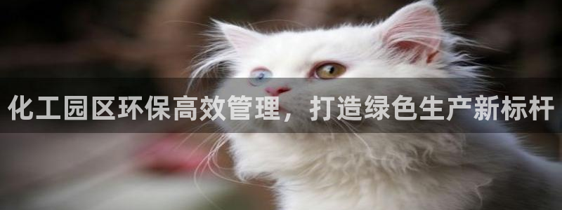 亿万先生换网址了吗知乎：化工园区环保高效管理，打造绿色生产新标杆