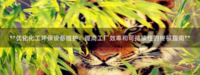 亿万billions：**优化化工环保设备维护：提高工厂效率和可持续性的终极指南**