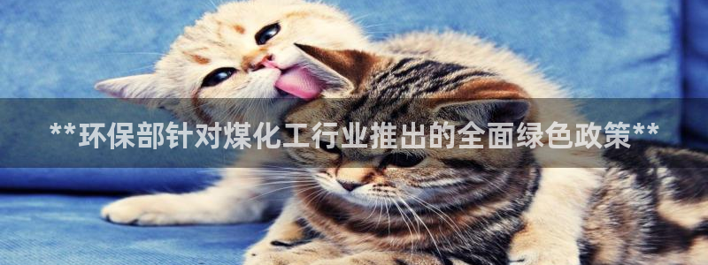 亿万百度贴吧：**环保部针对煤化工行业推出的全面绿色政策**