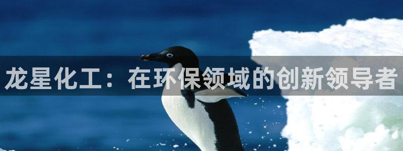 亿万财富网：龙星化工：在环保领域的创新领导者