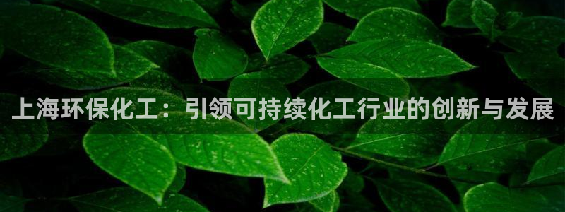 亿万小说免费阅读全文：上海环保化工：引领可持续化工行业的创新与发展