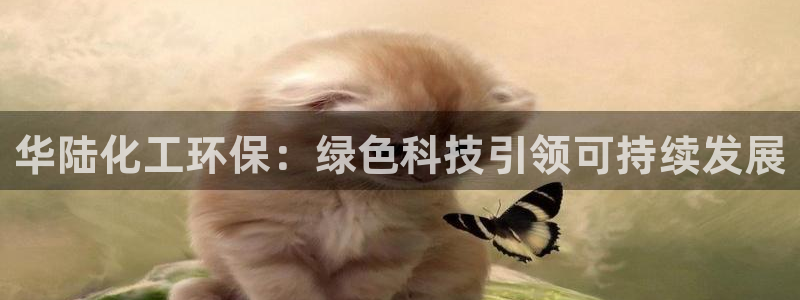 亿万先生充电桩：华陆化工环保：绿色科技引领可持续发展