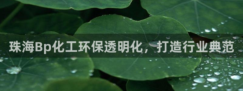 亿万国际平台是正规的吗安全吗：珠海Bp化工环保透明化，打造行业典范