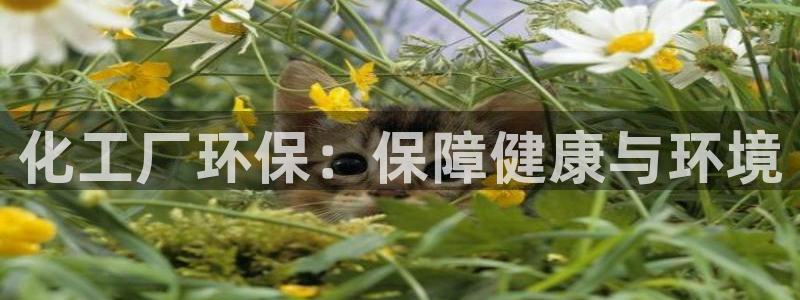 亿万先生客户端官网登录不上：化工厂环保：保障健康与环境