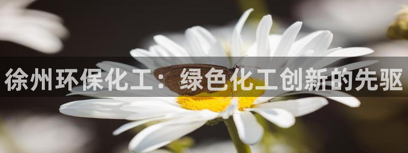 亿万先生：徐州环保化工：绿色化工创新的先驱