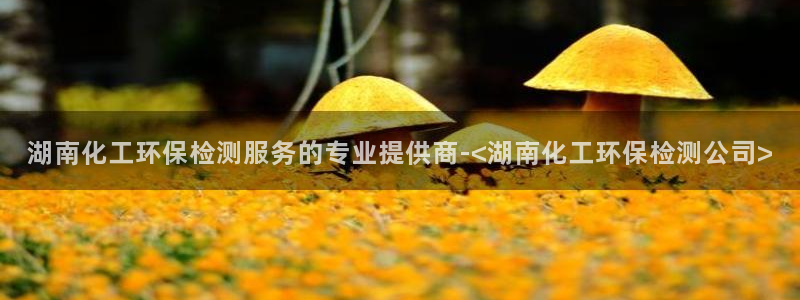 亿万先生现在的网址谁知道：湖南化工环保检测服务的专业提供商-<湖南化工环保检测公司>