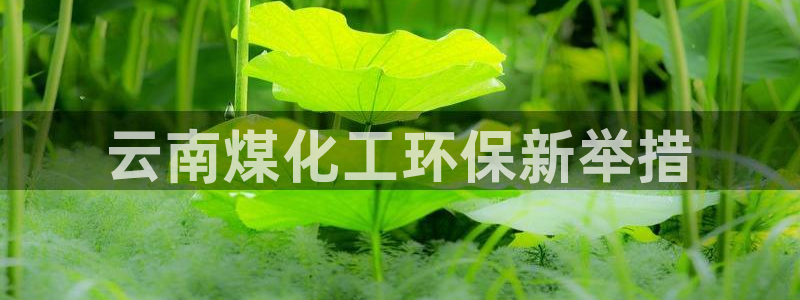 亿万先生手机网：云南煤化工环保新举措