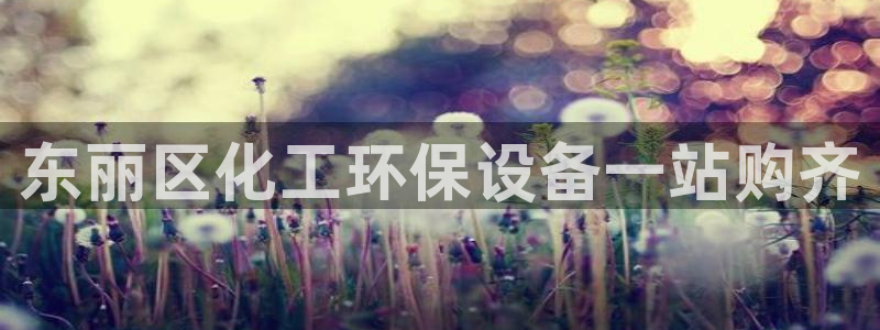 亿万先生手机版入口在哪：东丽区化工环保设备一站购齐