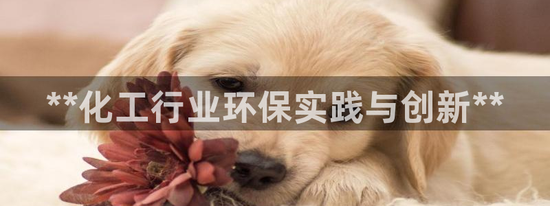亿万先生合并最新消息：**化工行业环保实践与创新**