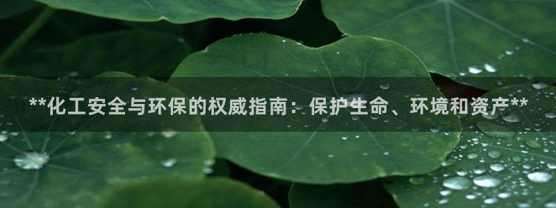 亿万先生手机网：**化工安全与环保的权威指南：保护生命、环境和资产**