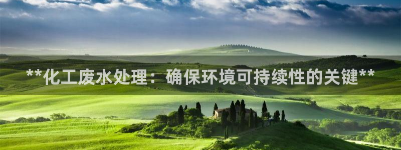 mr001亿万先生：**化工废水处理：确保环境可持续性的关键**