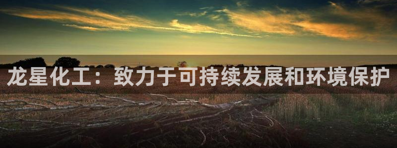 亿万讲什么：龙星化工：致力于可持续发展和环境保护