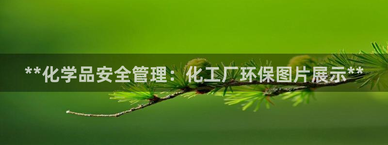 亿万小说免费阅读全文：**化学品安全管理：化工厂环保图片展示**