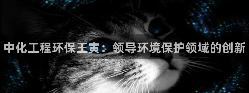 亿万集团有限公司：中化工程环保王寅：领导环境保护领域的创新