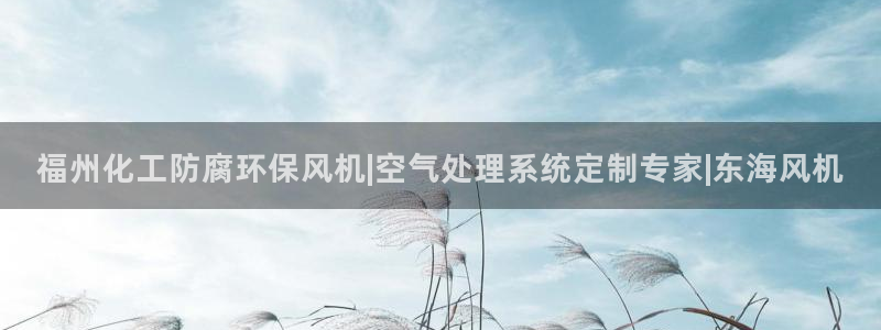 亿万手游官网网址：福州化工防腐环保风机|空气处理系统定制专家|东海风机