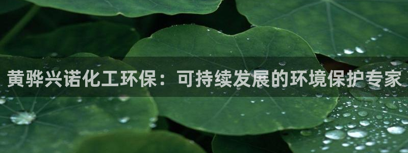 亿万先生007网页登录不了：黄骅兴诺化工环保：可持续发展的环境保护专家
