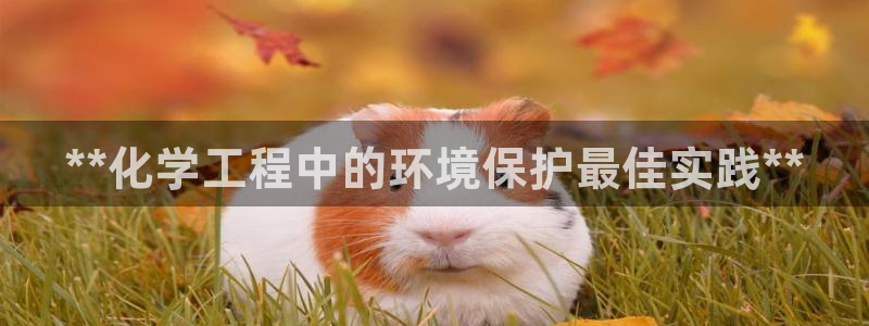 亿万网友在线解答：**化学工程中的环境保护最佳实践**