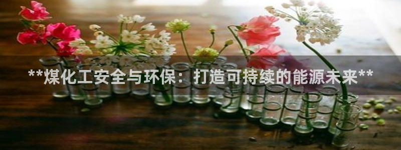 亿万下载：**煤化工安全与环保：打造可持续的能源未来**