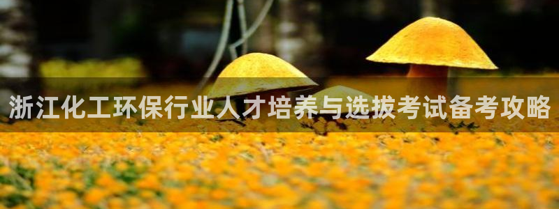亿万先生合并最新消息：浙江化工环保行业人才培养与选拔考试备考攻略