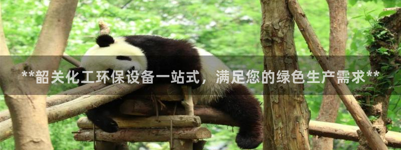 亿万先生情侣车有什么用：**韶关化工环保设备一站式，满足您的绿色生产需求**