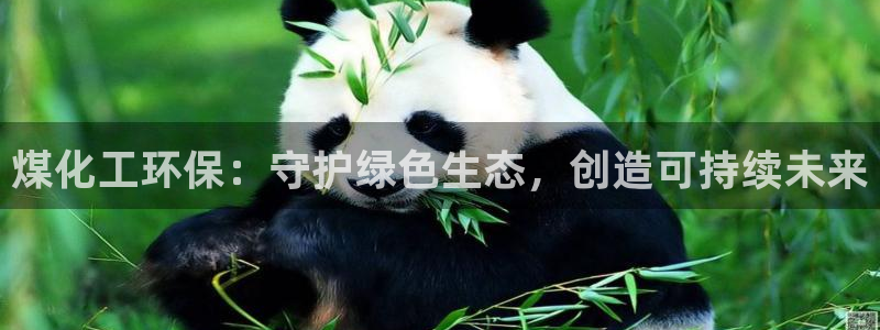 亿万网友在线实时为您解答问题：煤化工环保：守护绿色生态，创造可持续未来
