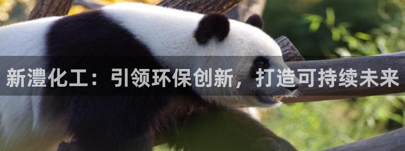 亿万先生手游下载：新澧化工：引领环保创新，打造可持续未来
