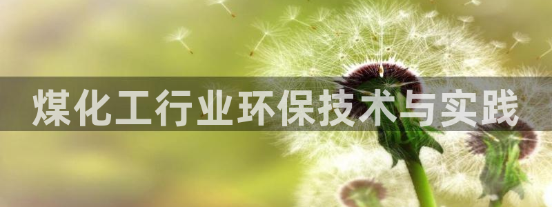 亿万先生客户端官网：煤化工行业环保技术与实践