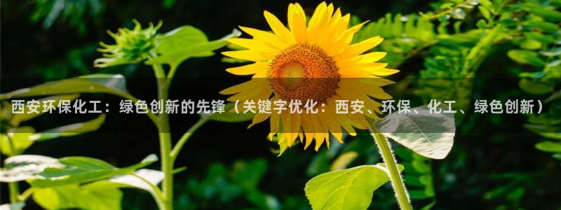 电影亿万：西安环保化工：绿色创新的先锋（关键字优化：西安、环保、化工、绿色创新）