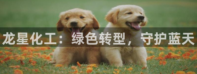 亿万手游官网网址：龙星化工：绿色转型，守护蓝天