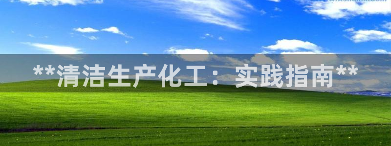 亿万钱包app下载：**清洁生产化工：实践指南**