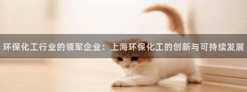亿万先生网址生：环保化工行业的领军企业：上海环保化工的创新与可持续发展