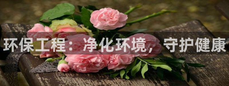亿万城市手游官网：环保工程：净化环境，守护健康