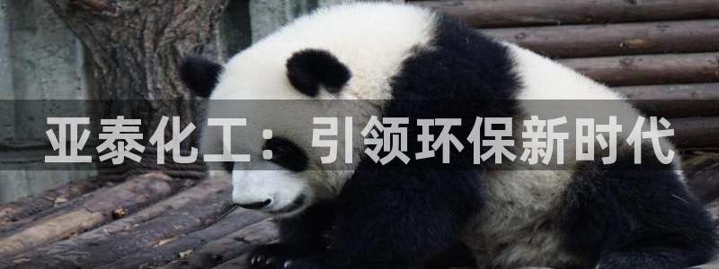 亿万同人字幕组微博的微博