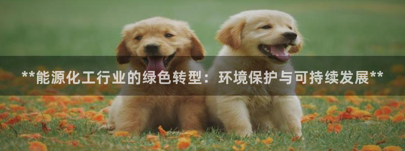 亿万先生首页：**能源化工行业的绿色转型：环境保护与可持续发展**