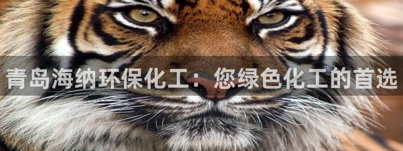 亿万国际：青岛海纳环保化工：您绿色化工的首选